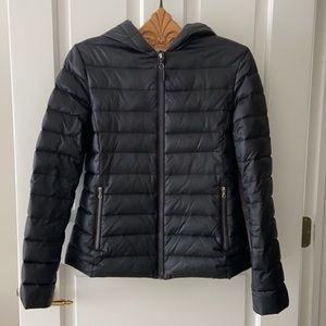 LACOSTE PUFFY JACKET NEW PRICE